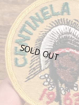 60年代頃のボーイスカウトのビンテージの刺繡ワッペン