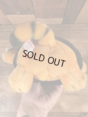 80’sの卒業のガーフィールドのヴィンテージのプラッシュドール