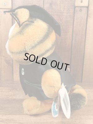 80’sの卒業のガーフィールドのヴィンテージのプラッシュドール