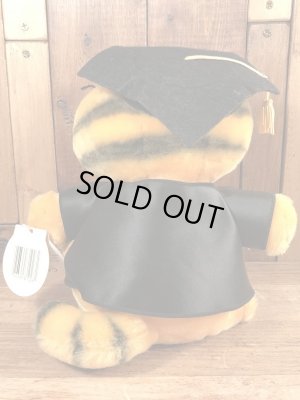 80’sの卒業のガーフィールドのヴィンテージのプラッシュドール