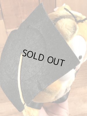 80年代頃の卒業のガーフィールドのビンテージのぬいぐるみ