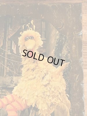 70’sのセサミストリートのビッグバードのヴィンテージの壁掛け