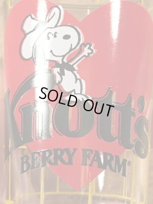 80年代頃のナッツベリーファームのスヌーピーのビンテージのグラス