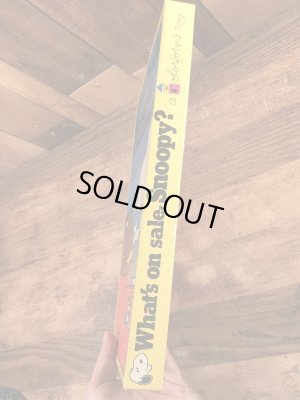 70年代頃のスヌーピーのビンテージのカラーフォームズセット