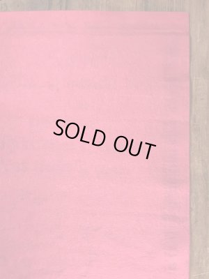 70’sのスヌーピーのチャーリーブラウンのヴィンテージのタペストリー