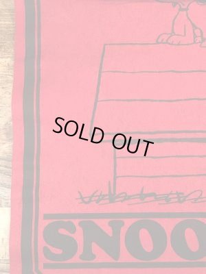 70年代頃のスヌーピーのビンテージのフェルトバナー