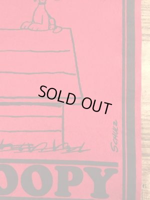 70’sのスヌーピーのヴィンテージのタペストリー