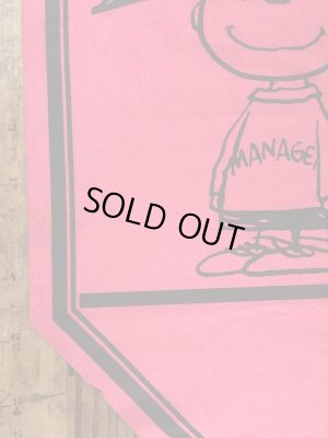 70年代頃のスヌーピーのチャーリーブラウンのビンテージのフェルトバナー