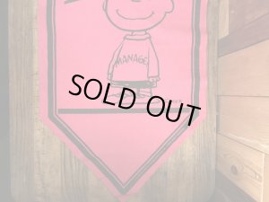 70’sのスヌーピーのチャーリーブラウンのヴィンテージのタペストリー