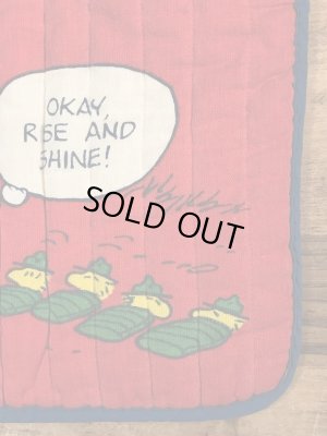 70〜80’sのスヌーピーとウッドストックのヴィンテージの座布団ケース