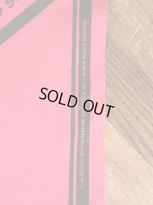 70’sのスヌーピーのチャーリーブラウンのヴィンテージのタペストリー