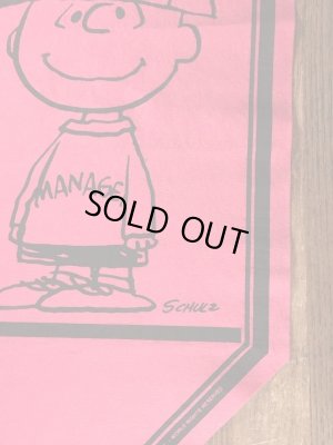 70’sのスヌーピーのチャーリーブラウンのヴィンテージのタペストリー