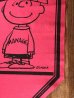 70’sのスヌーピーのチャーリーブラウンのヴィンテージのタペストリー