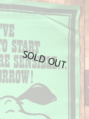 70’sのスヌーピーのヴィンテージのタペストリー