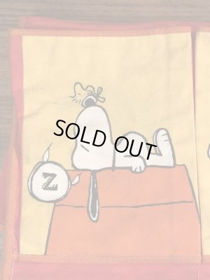 70’sのスヌーピーのヴィンテージのウォールポケット