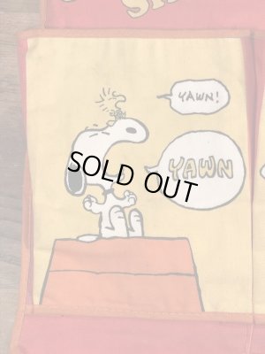 70’sのスヌーピーのヴィンテージのウォールポケット