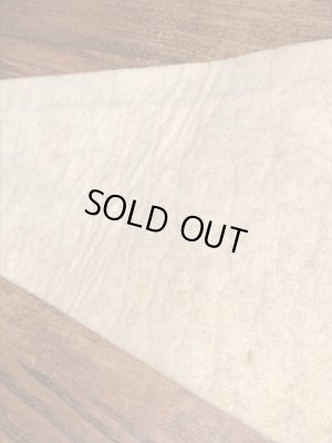 ファンタジーランドのミッキーマウスのヴィンテージの雑貨