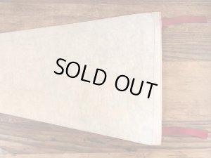 ファンタジーランドのミッキーマウスのヴィンテージの雑貨