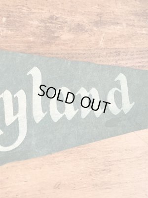 50年代頃のディズニーランドのヴィンテージのペナント