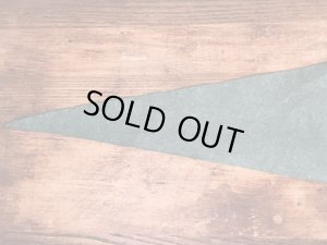 50年代頃のディズニーランドのヴィンテージのペナント