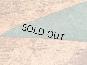 50年代頃のディズニーランドのヴィンテージのペナント