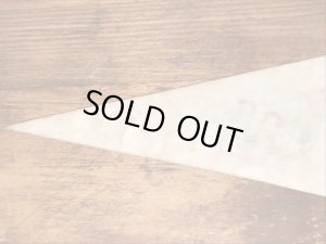 80年代のハンナバーベラのグレートアメリカのビンテージのペナント