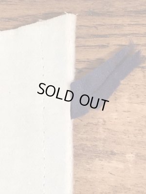 60年代のFun Fair Parkのビンテージのペナント