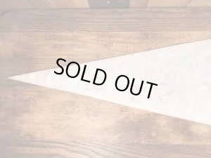 80年代のハンナバーベラのグレートアメリカのビンテージのペナント