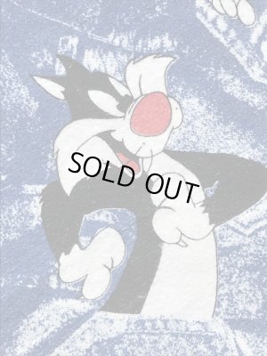 90年代~のルーニーテューンズのビンテージのブランケット