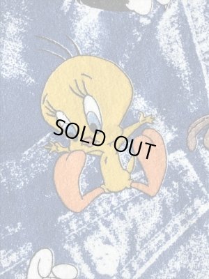 90年代~のルーニーテューンズのビンテージのブランケット