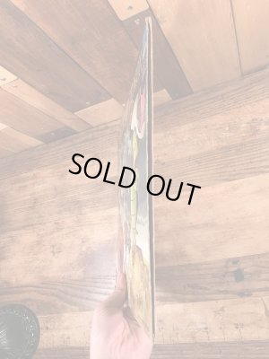 60年代のハンナバーベラの突貫カメ君のビンテージのレコード