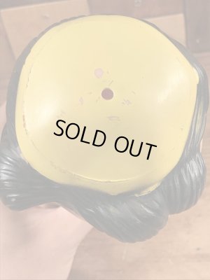 50年代のハンガーフォードのルーシーのビンテージのラバードール