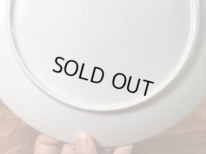 マクドナルドのビンテージのプラスチックプレート