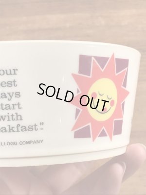 ケロッグのレーズンブランのヴィンテージの雑貨