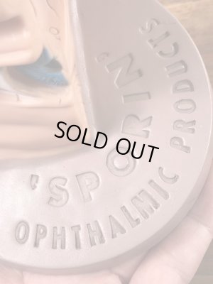 スポリン　ビンテージ　医療用ディスプレイ　人体模型　60~70’s