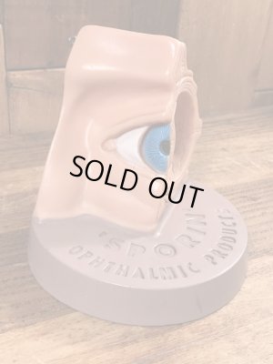 スポリン　ヴィンテージ　医療用模型　アナトミー　60~70年代