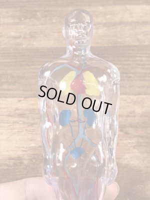 メルクアンドカンパニー　ビンテージ　ディスプレイフィギュア　企業キャラクター　人体模型　60年代