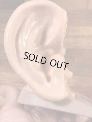 アナトミー ビンテージ 医療ディスプレイ アドバタイジング 企業物 60’s