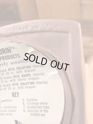 スポリン ヴィンテージ 人体模型 ディスプレイフィギュア 60年代