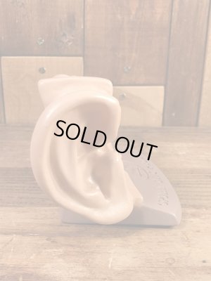 スポリン ヴィンテージ 人体模型 ディスプレイフィギュア 60年代