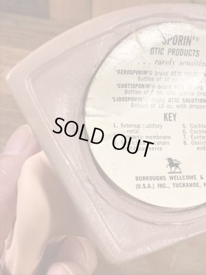 アナトミー ビンテージ 医療ディスプレイ アドバタイジング 企業物 60’s