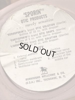 スポリン ヴィンテージ 人体模型 ディスプレイフィギュア 60年代