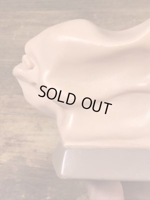 アナトミー ビンテージ 医療ディスプレイ アドバタイジング 企業物 60’s