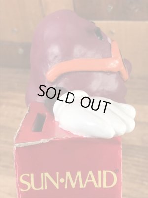 カリフォルニアレーズン ビンテージ コインバンクドール 企業キャラクター ノベルティ 80年代