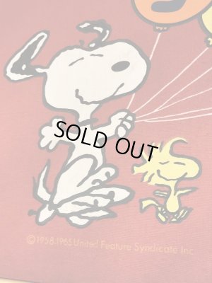 スヌーピー ヴィンテージ スーツケース ウッドストック Aviva