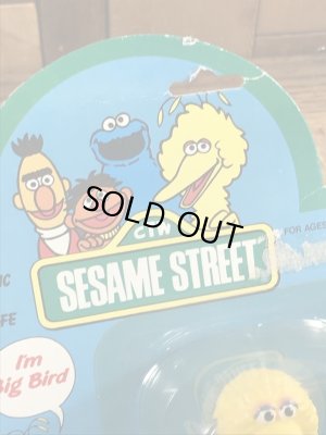 80年代頃のセサミストリートのビッグバードのビンテージのアクションフィギュア