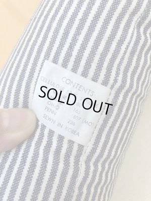 ヒッコリーストライプの服を着たビンテージの犬のビッ