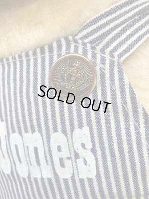 ヒッコリーストライプの服を着たビンテージの犬のビッ