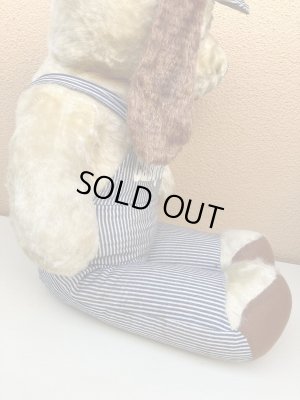 ヒッコリーストライプの服を着たビンテージの犬のビッ