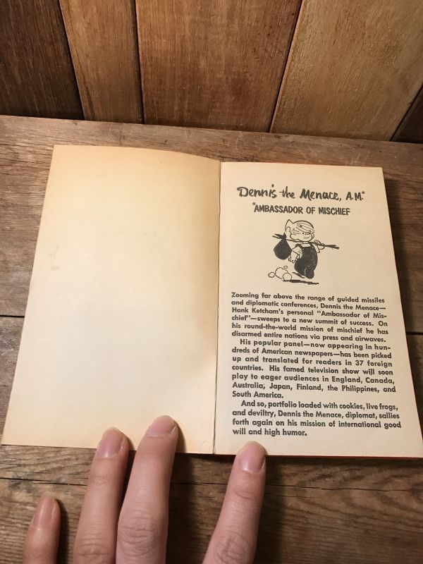 Dennis,the Menace Book ビンテージ わんぱくデニス コミック 70年代 ヴィンテージ - STIMPY(Vintage